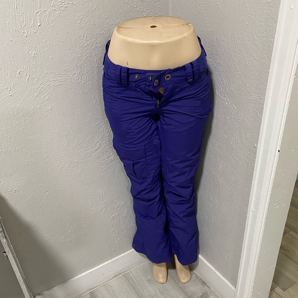 The north face ski pants